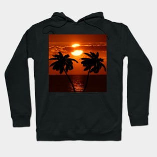 Tropical Designation Palm Trees & Beach Sunset Hoodie